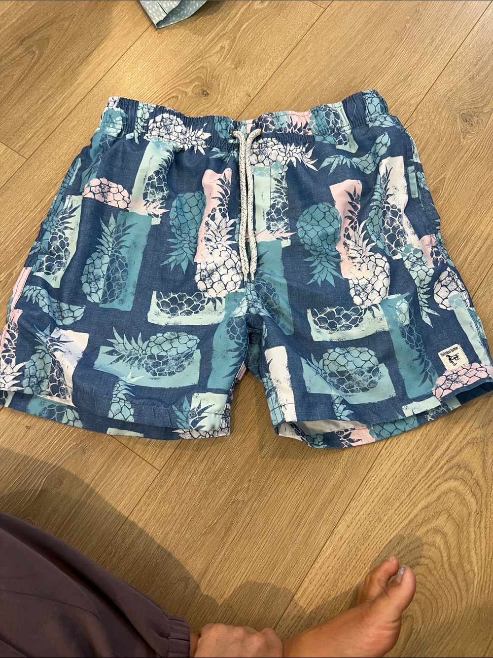 Men's The Endless Summer Blue Pineapple Print Swim Shorts